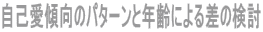 ȈX̃p^[ƔNɂ鍷̌